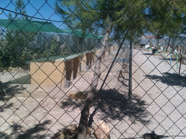 residencia canina sultan