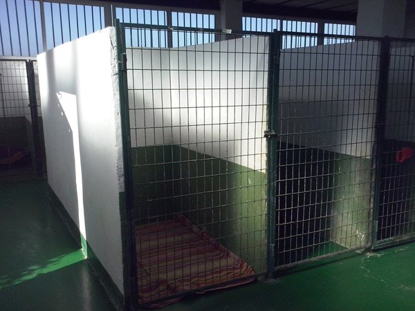 residencia canina sultan