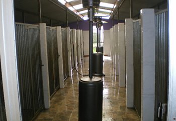 residencia canina el xelán