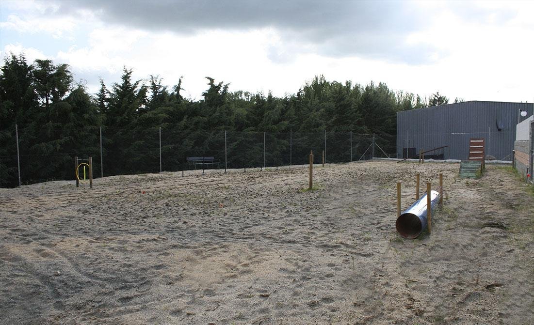 residencia canina babieca