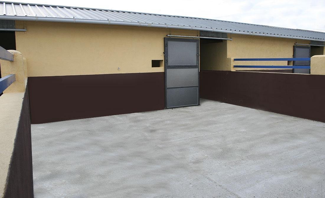 residencia canina babieca