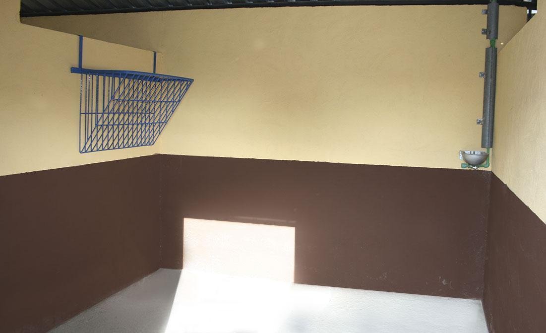 residencia canina babieca