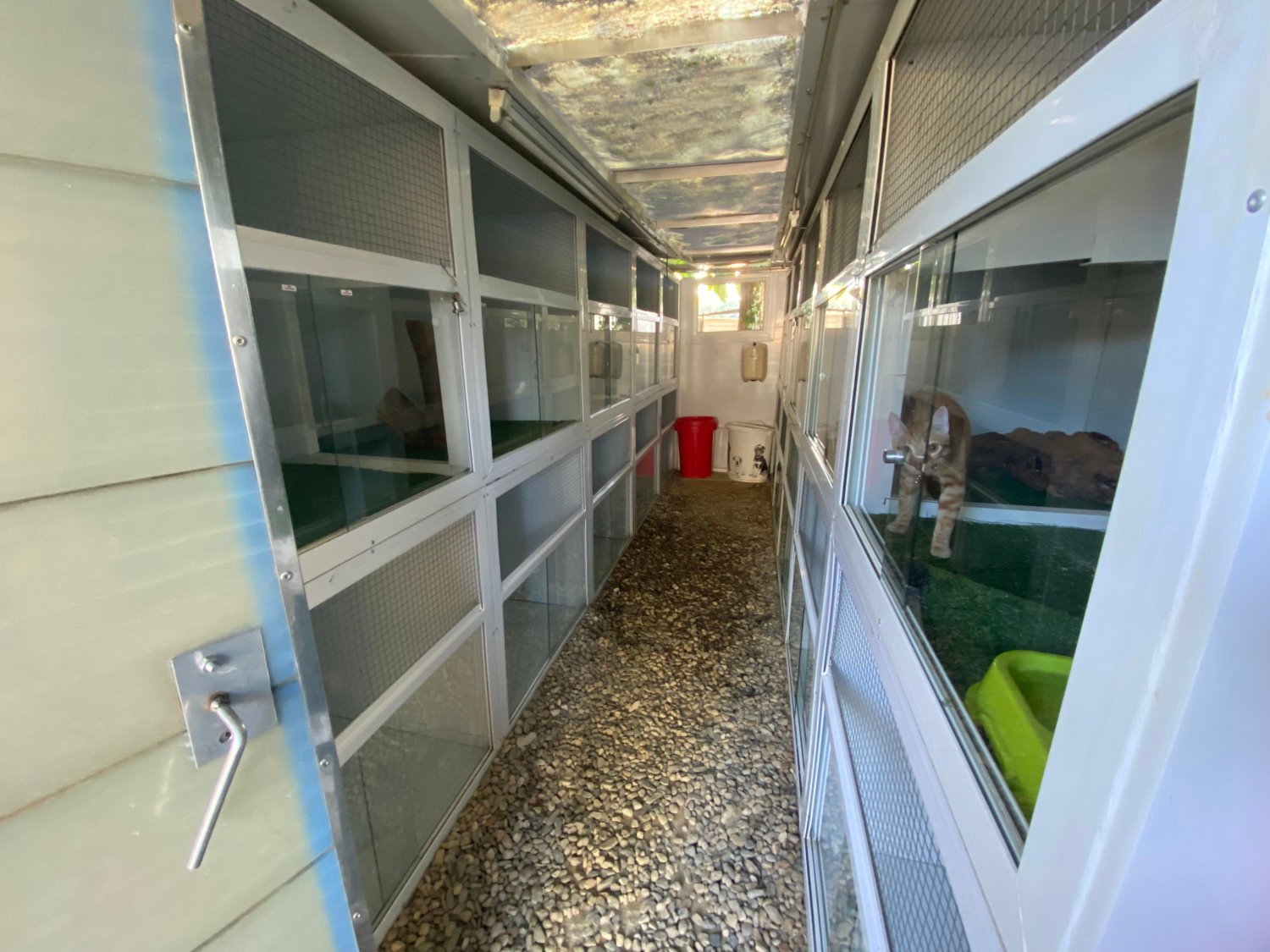 working dog solutions