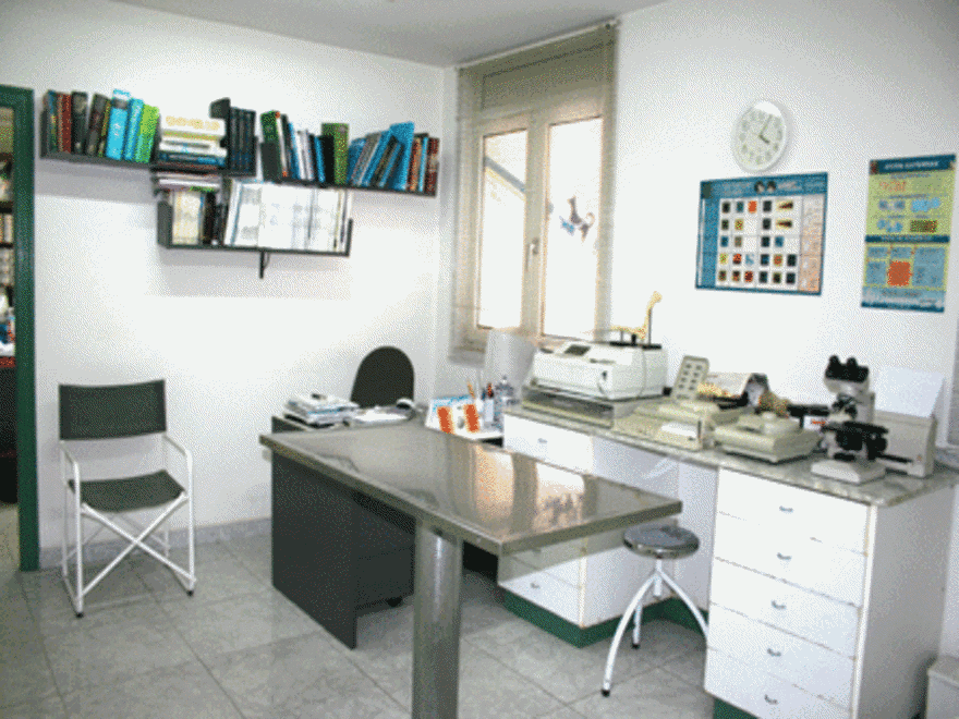 residencia canina villanueva