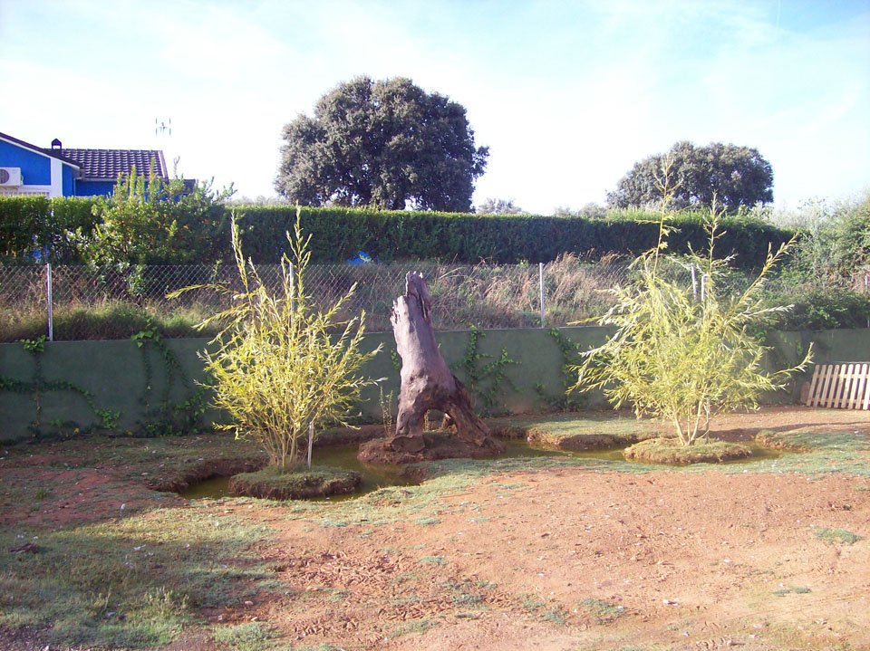 residencia canina aullidos