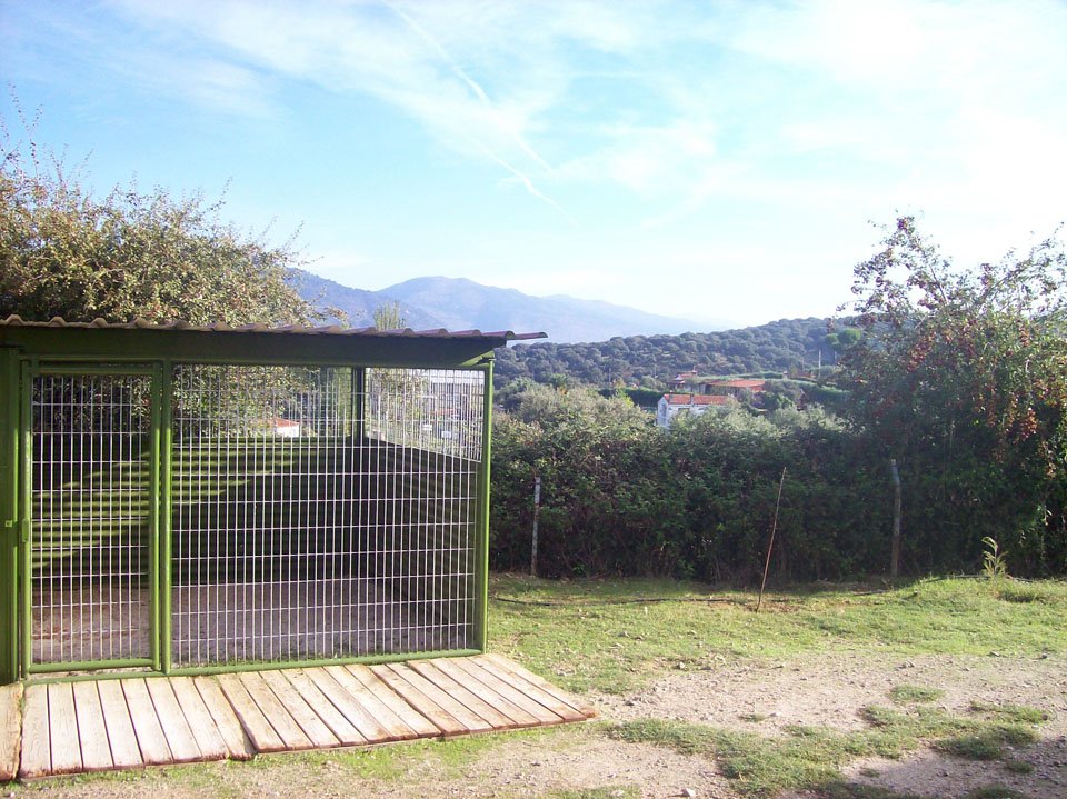 residencia canina aullidos