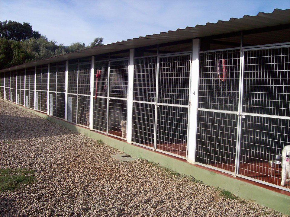 residencia canina aullidos
