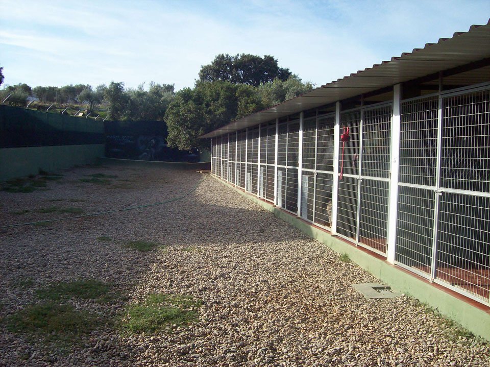residencia canina aullidos