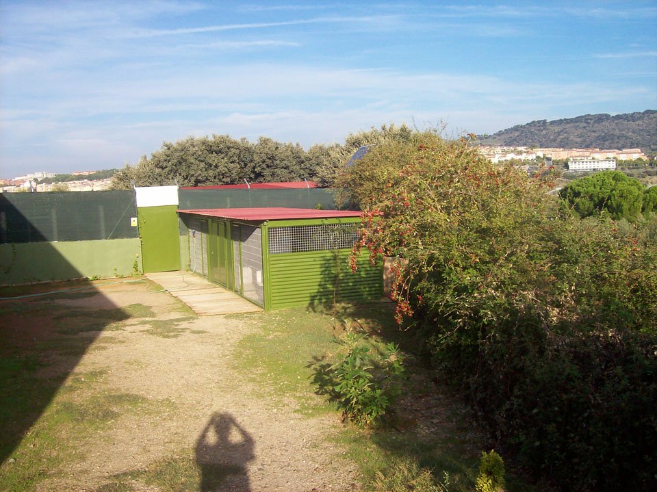 residencia canina aullidos