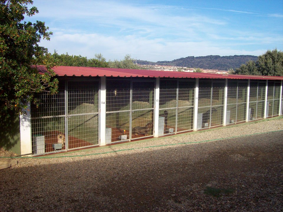 residencia canina aullidos