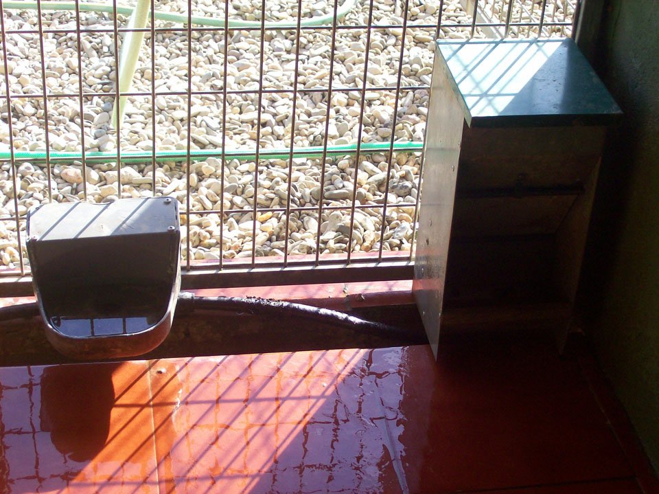 residencia canina aullidos