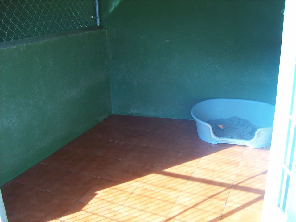 residencia canina aullidos
