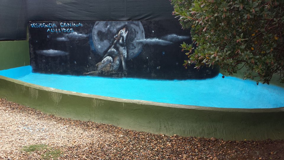 residencia canina aullidos