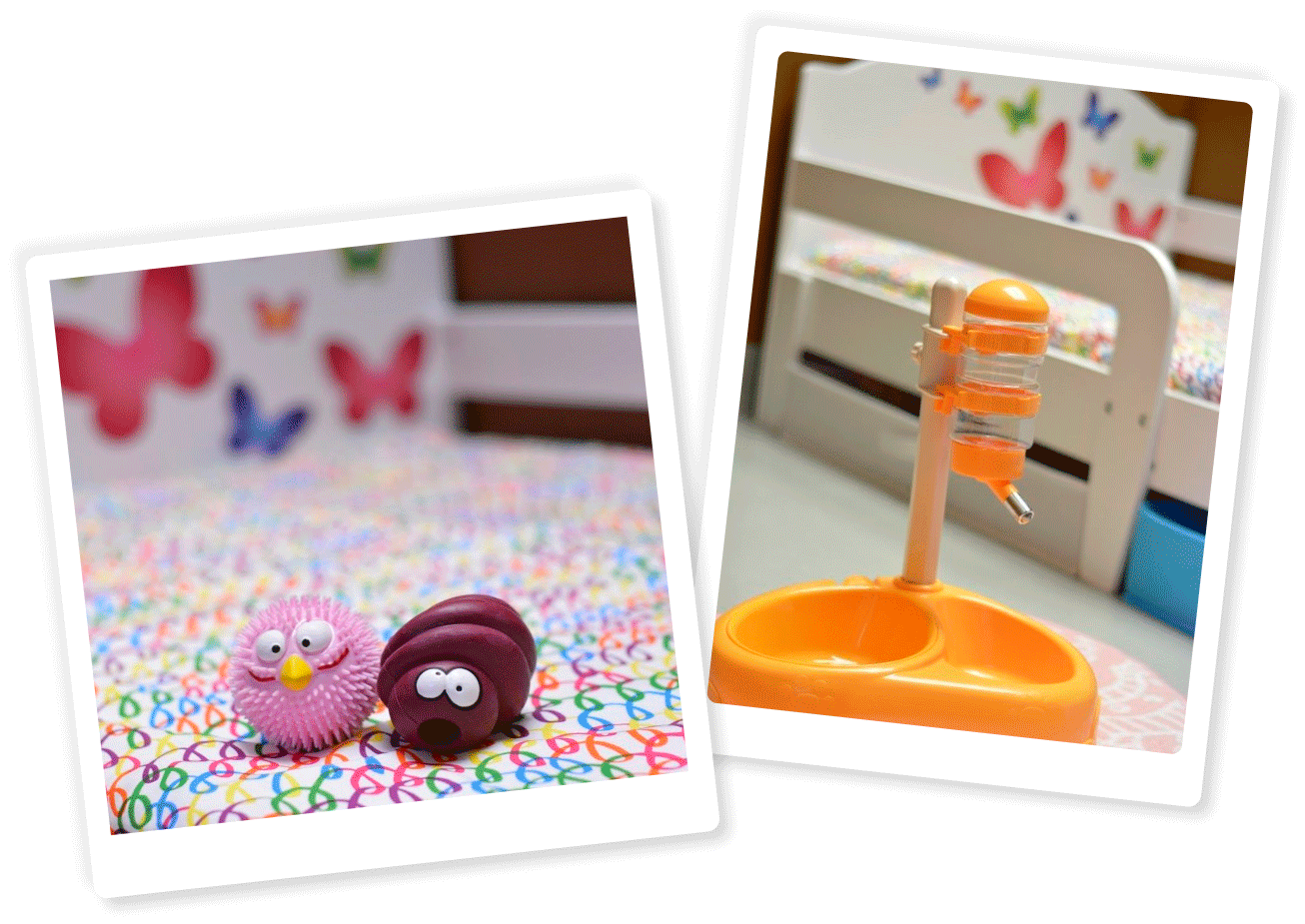 hotel canino las almenas