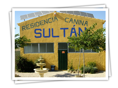 residencia canina sultan