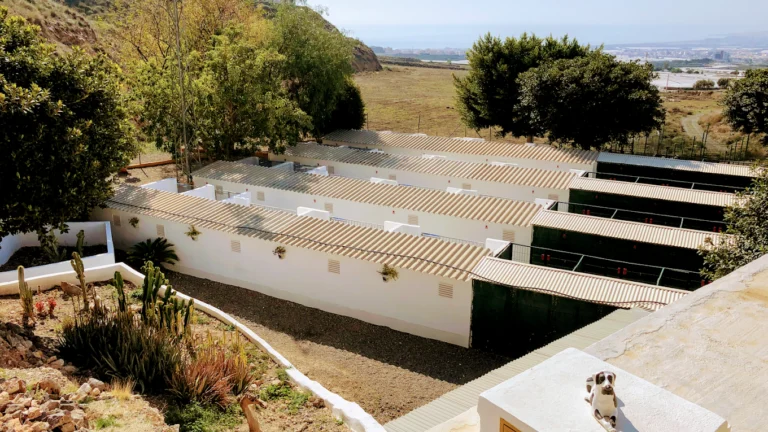 Hotel Canino Damacan – residencia canina en Almería