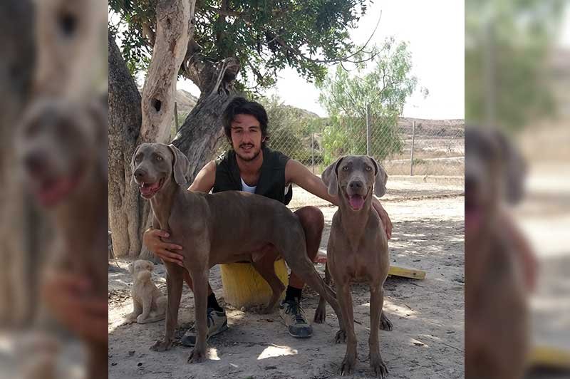 residencia canina ngorong ngorong