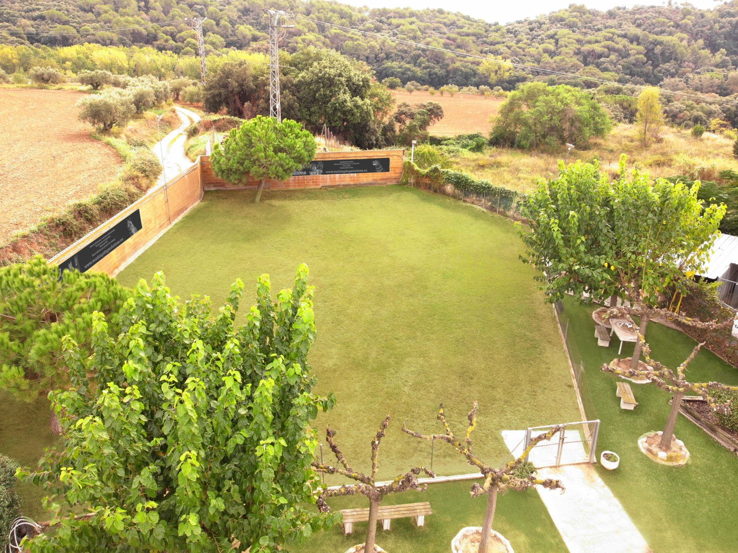 working dog solutions