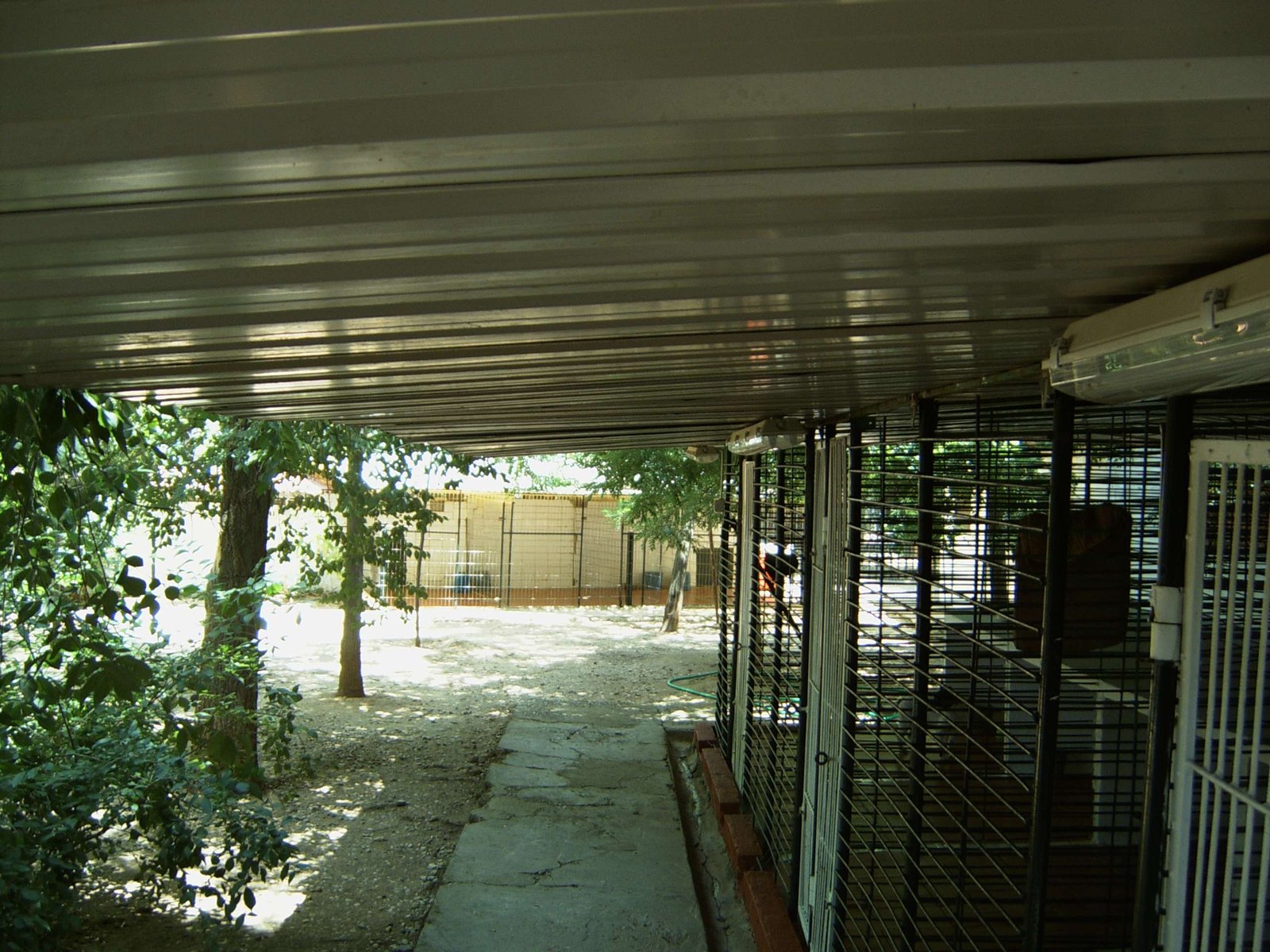 residencia canina séneca