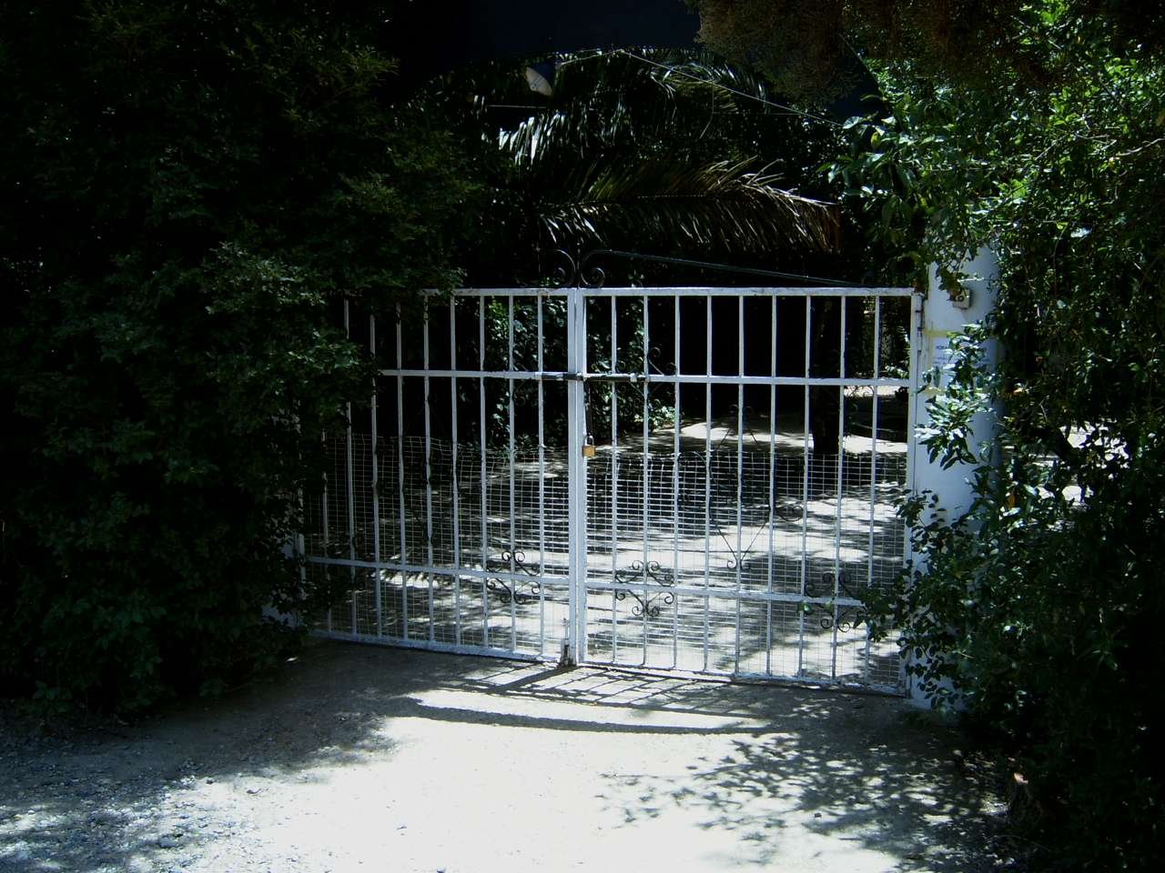 residencia canina séneca