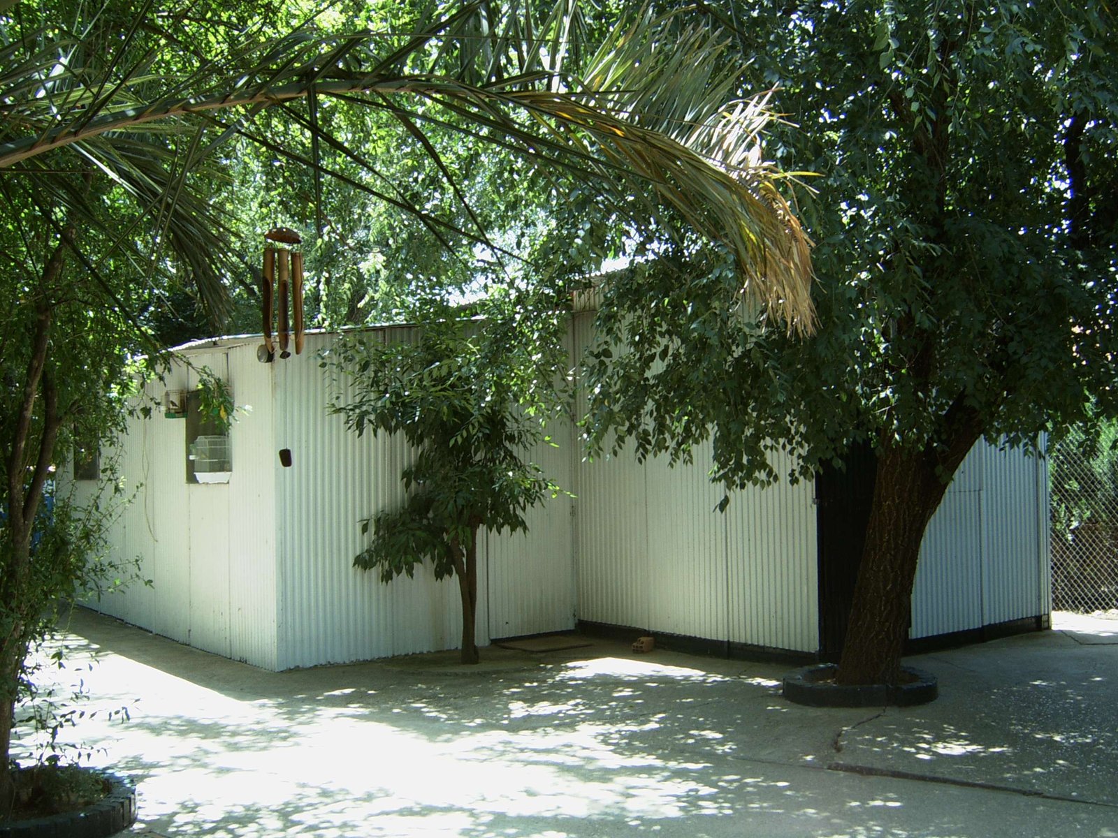 residencia canina séneca