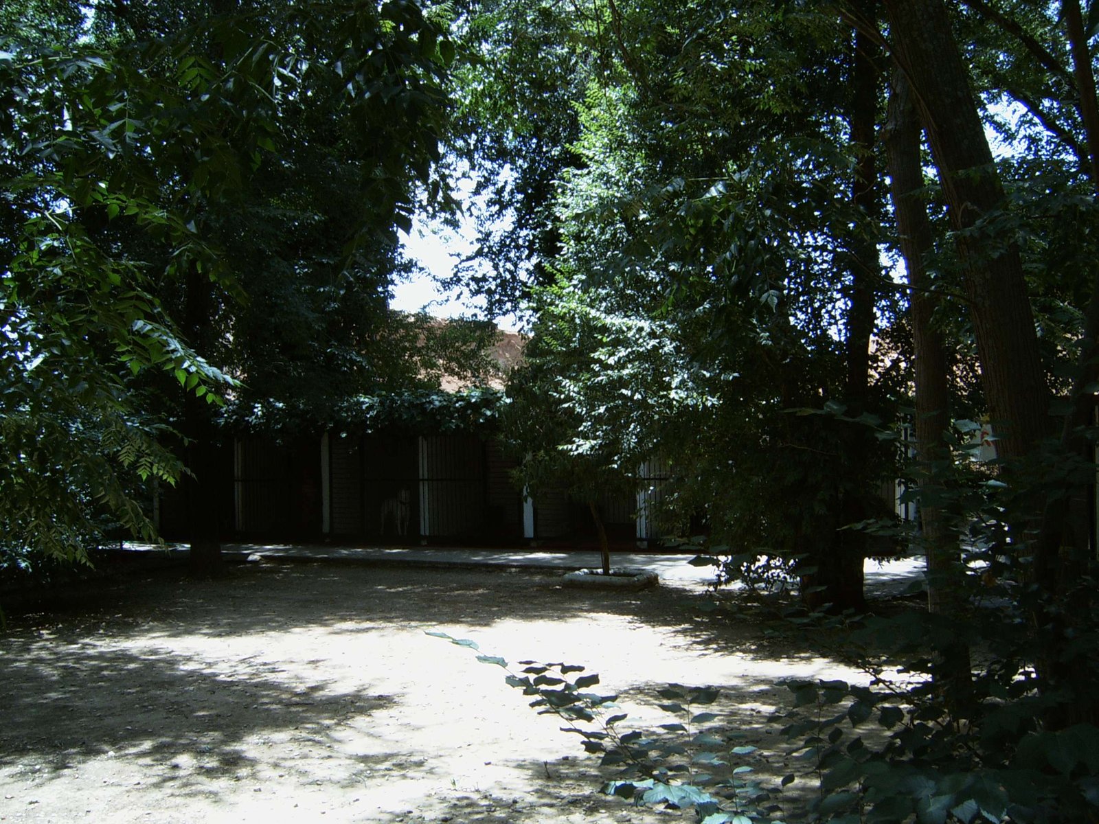 residencia canina séneca