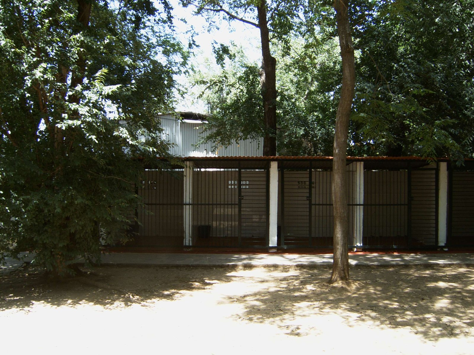 residencia canina séneca