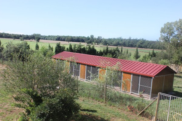residencia canina rockendall