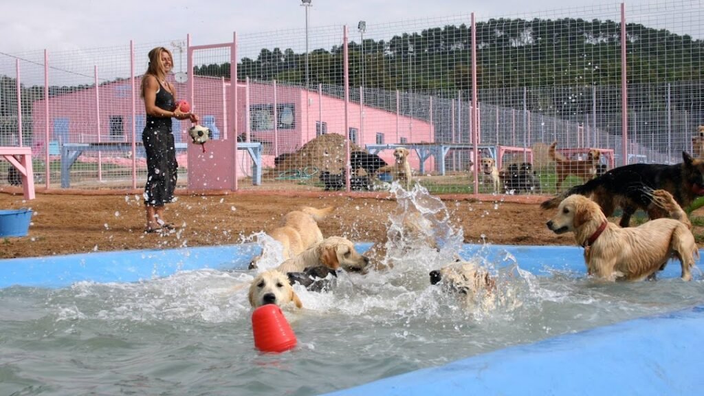 guardería canina elena en la costa brava