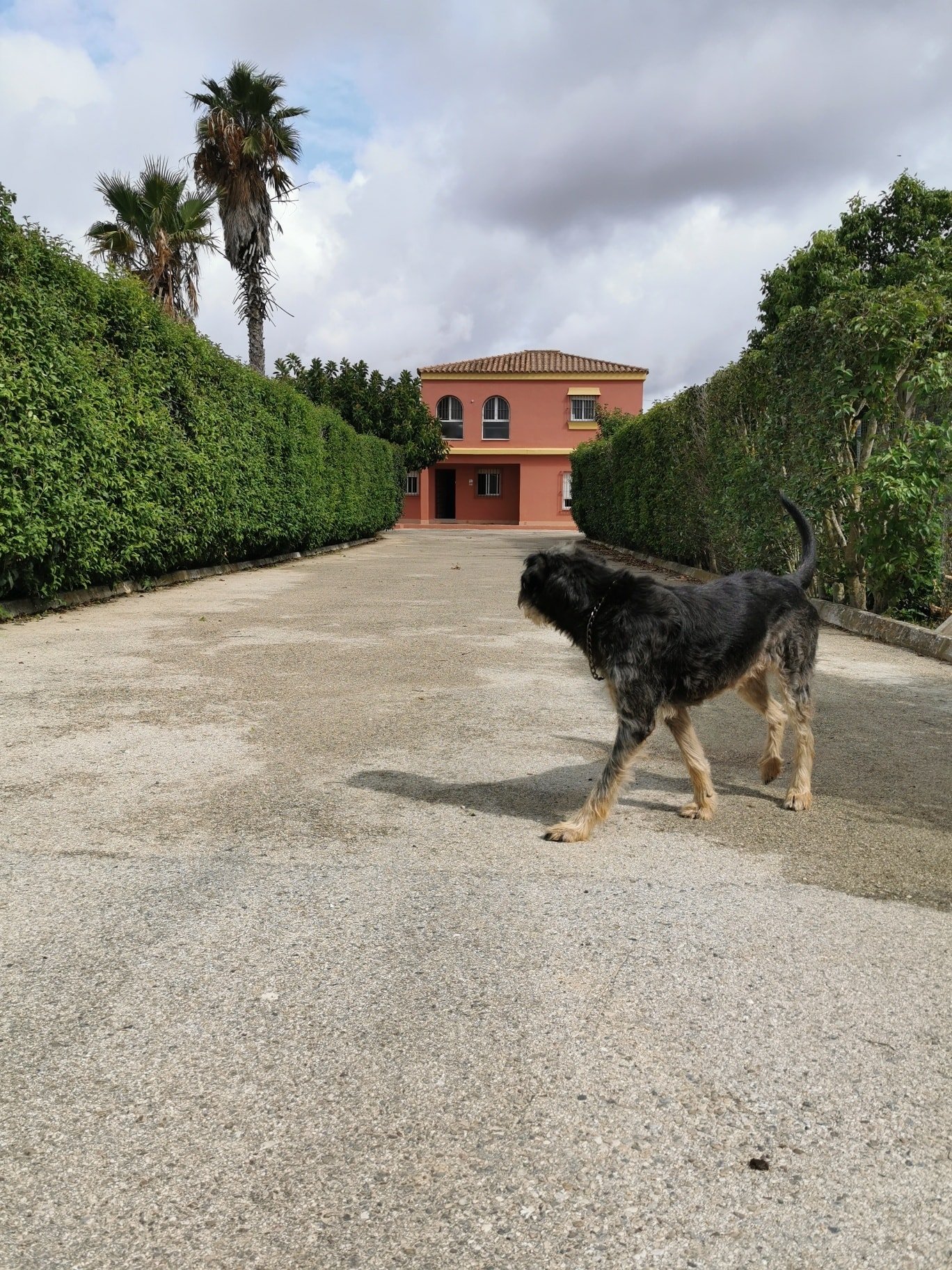 hotel para perros indiana