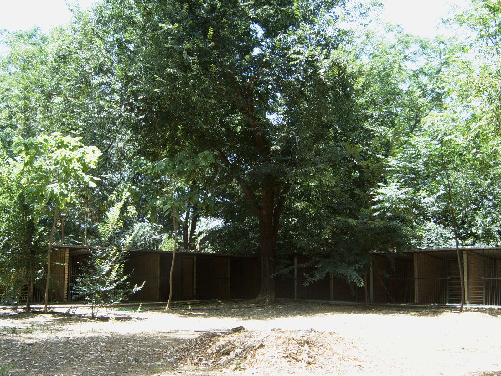 residencia canina séneca