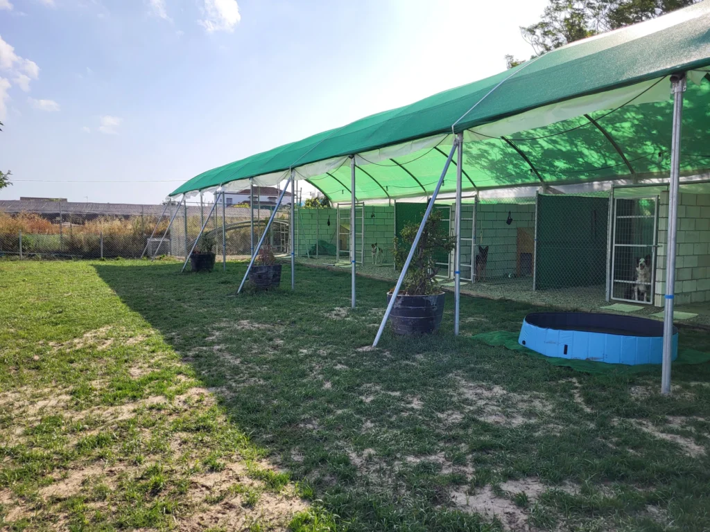residencia canina divertican
