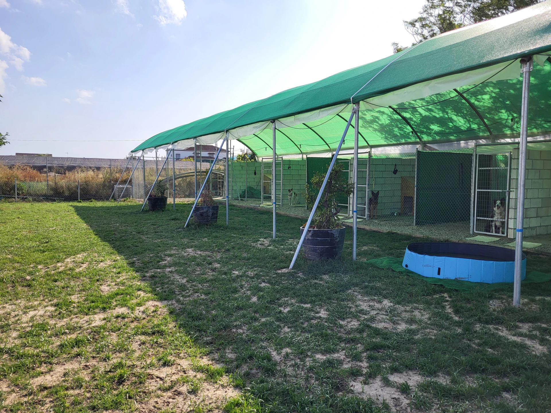 residencia canina divertican