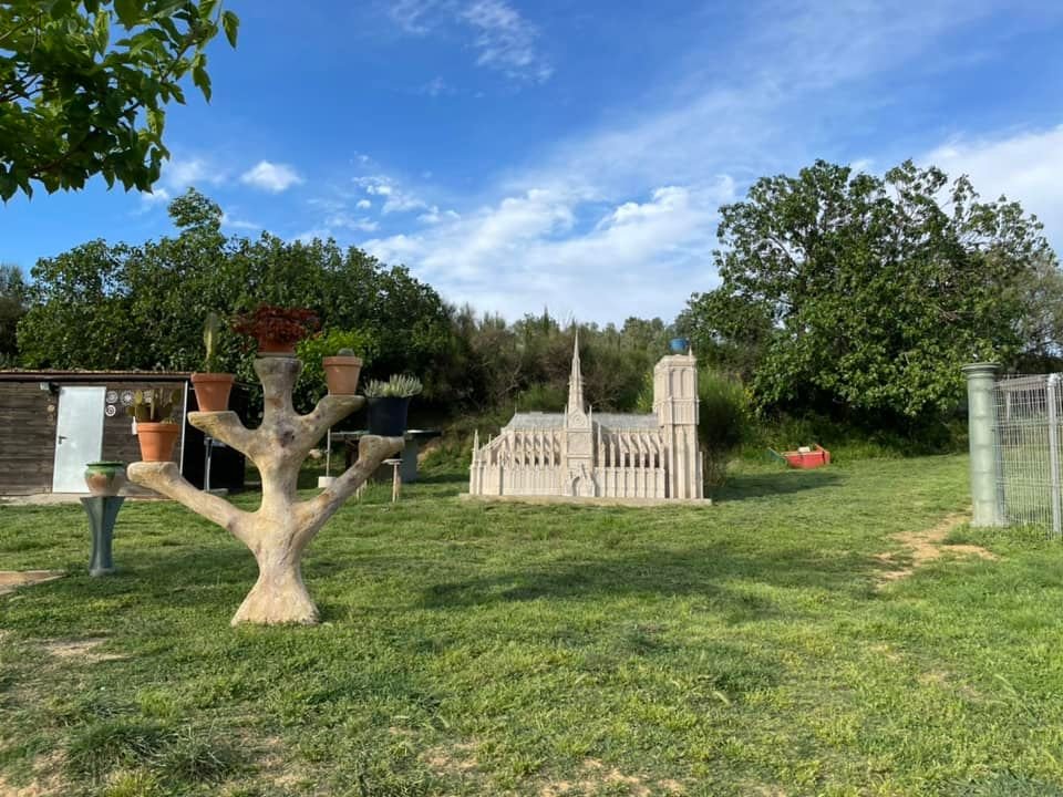 residencia canina placocan