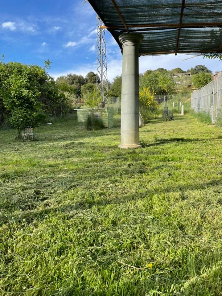 residencia canina placocan