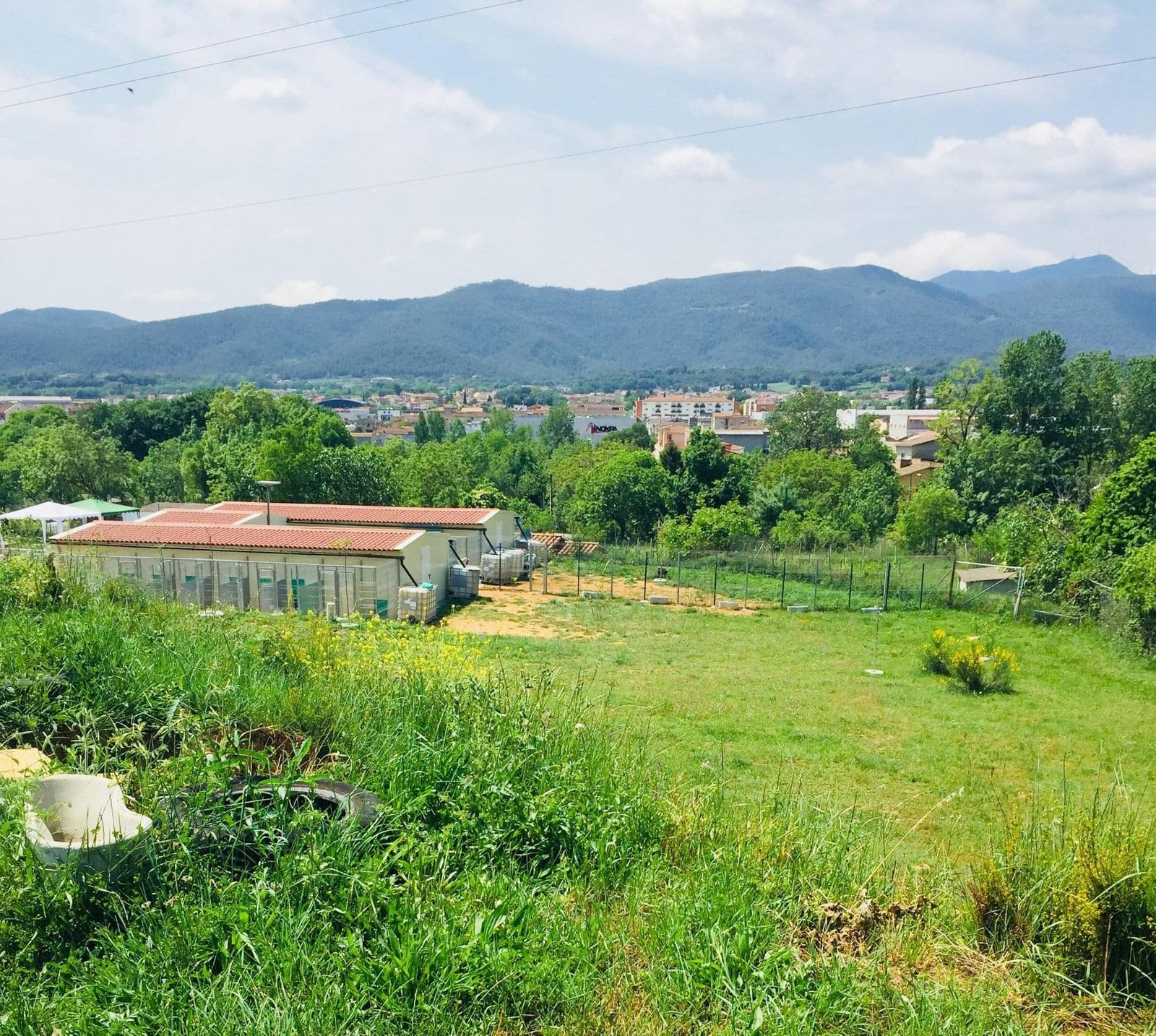 residencia canina placocan