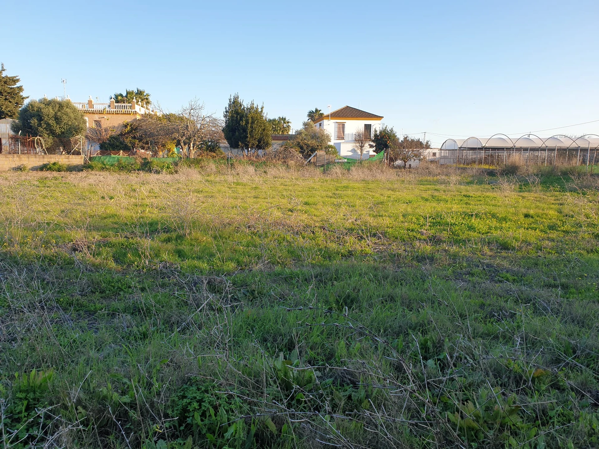 residencia canina divertican