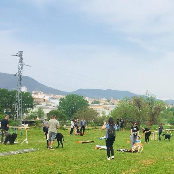 residencia canina placocan