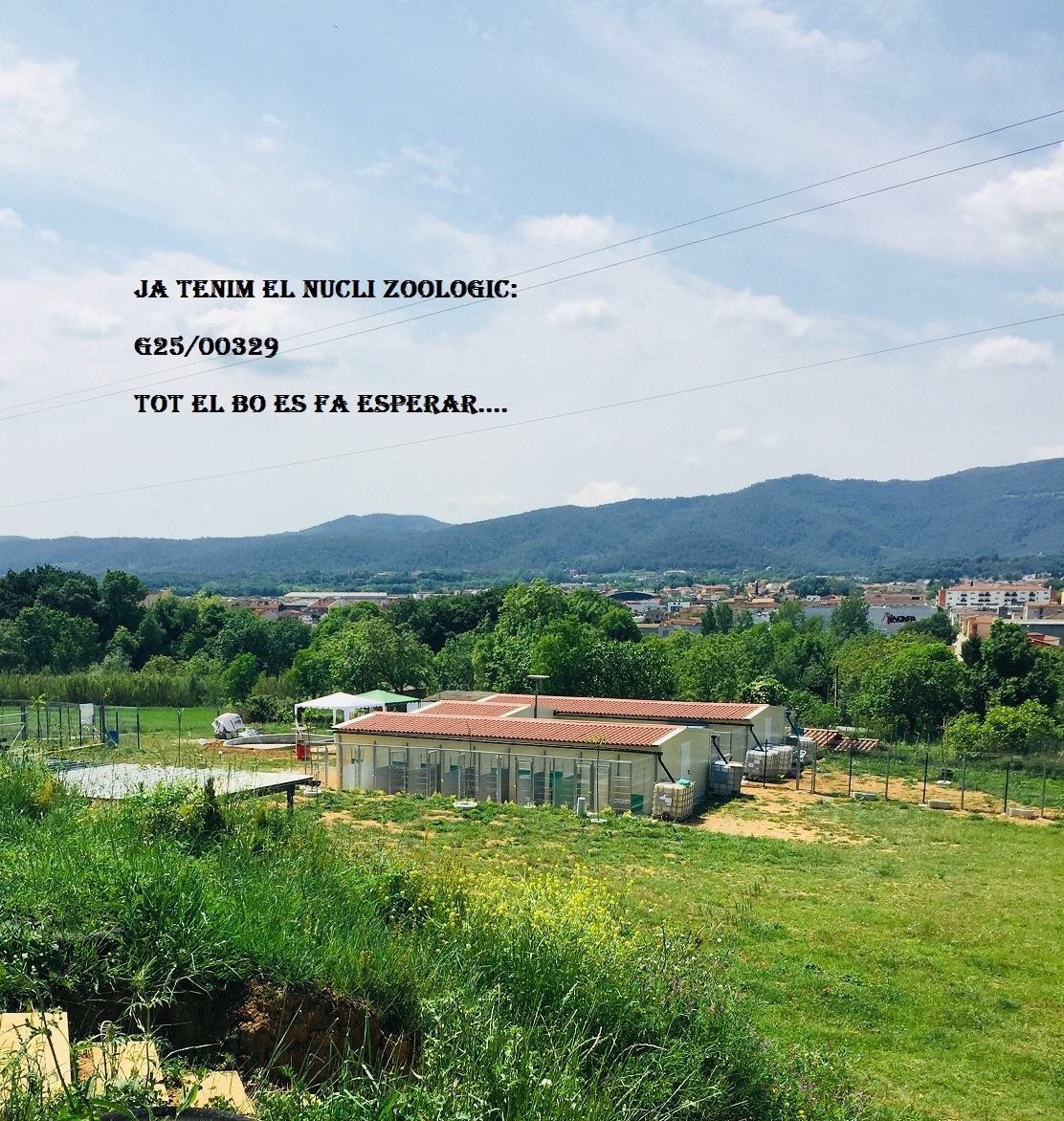 residencia canina placocan