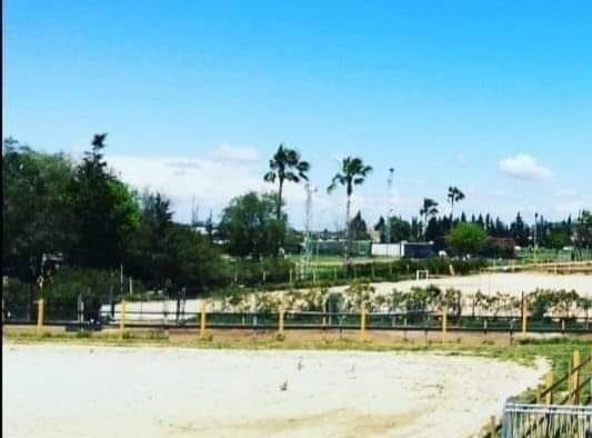 guardería canina xerez