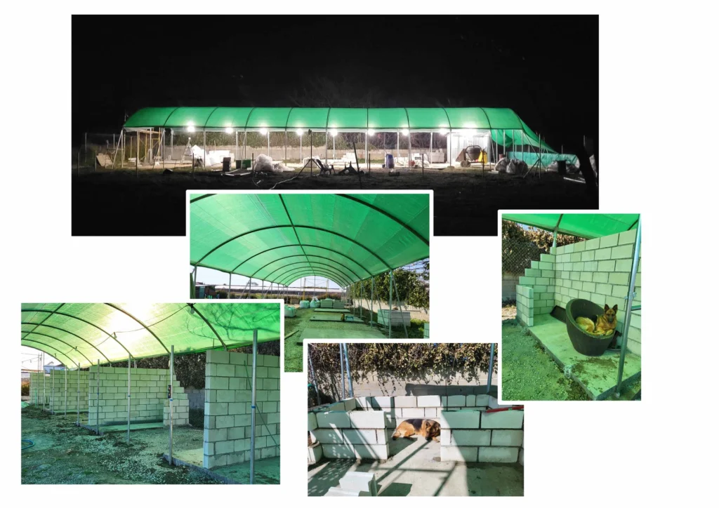 residencia canina divertican