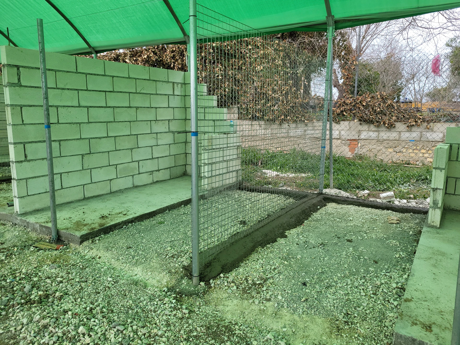 residencia canina divertican