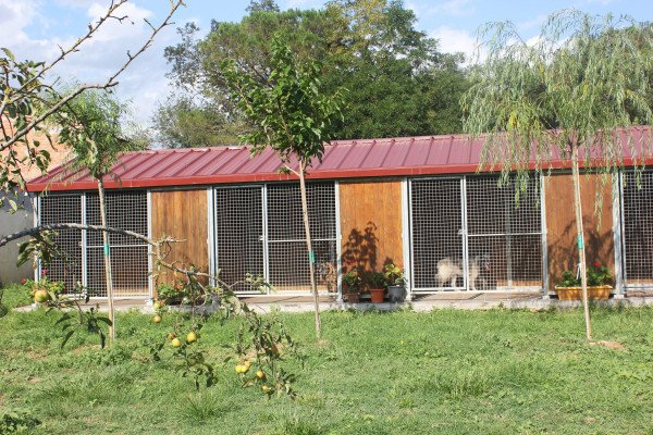 residencia canina rockendall