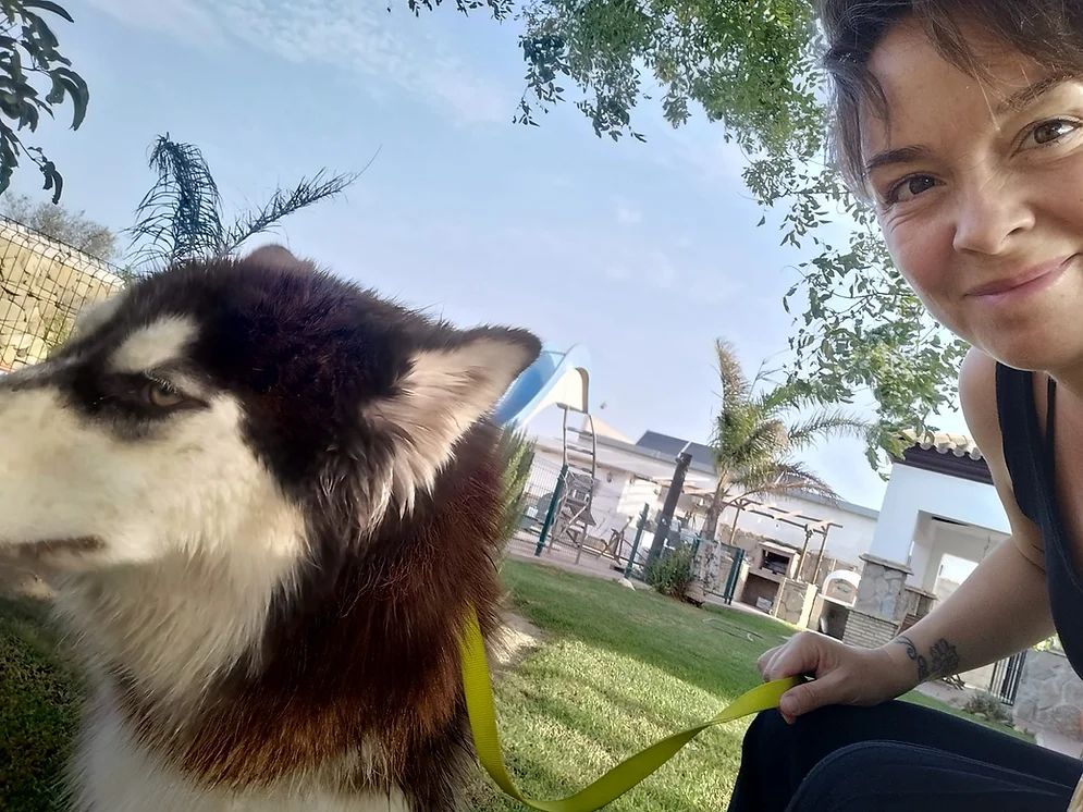 residencia canina amigomio