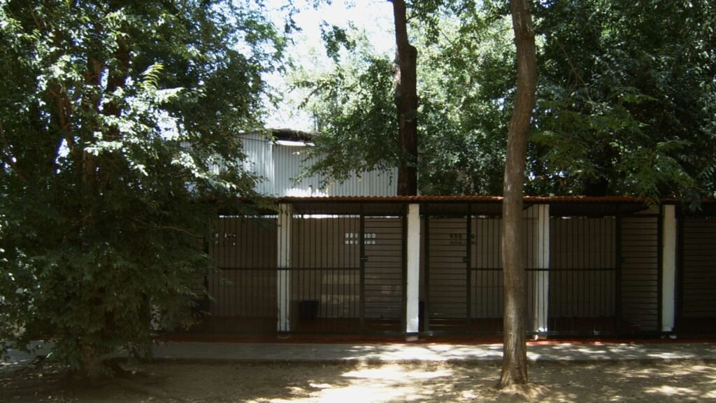 residencia canina séneca