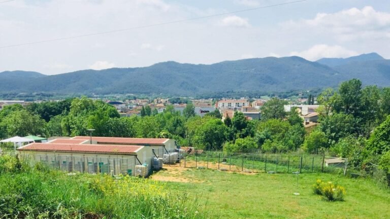 Residencia Canina Placocan – residencia canina en Girona