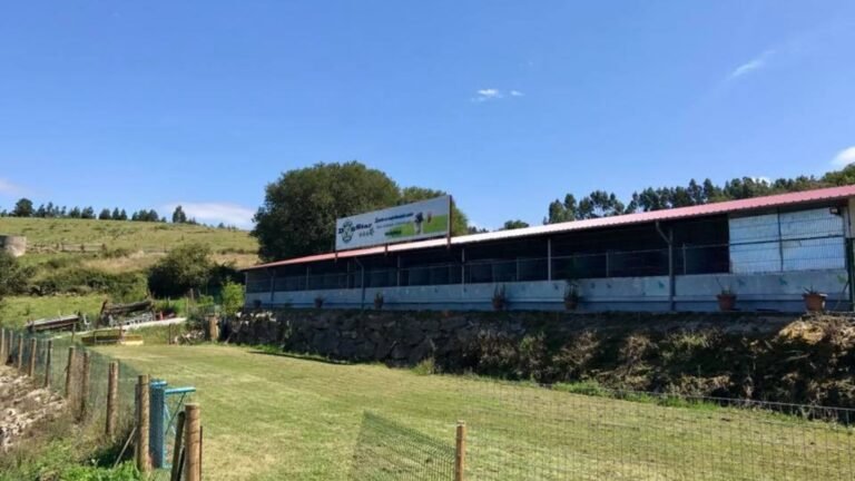 Resort Canino Dogstar – residencia canina en Cantabria