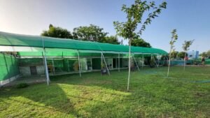 residencia canina divertican