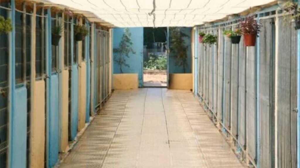 residencia canina las cabrerizas del sur