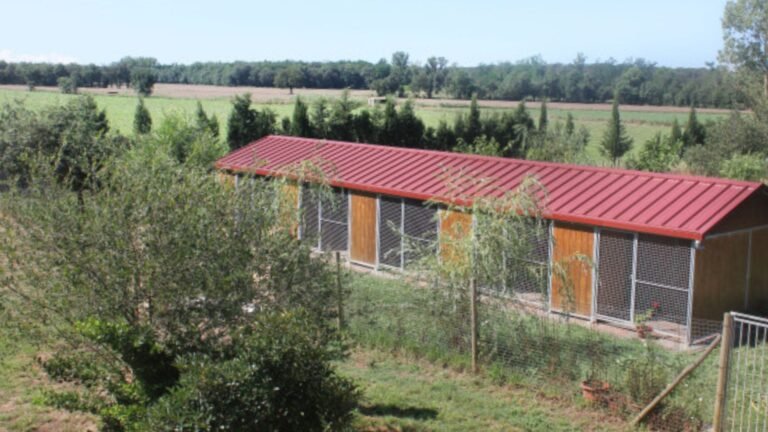 Residencia Canina Rockendall – residencia canina en Girona